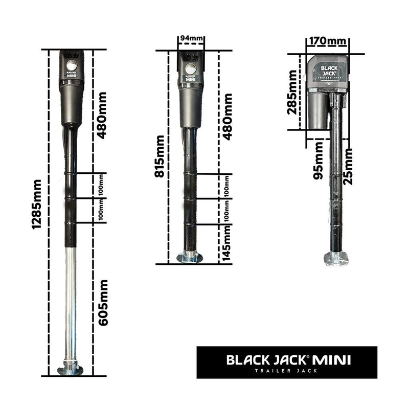 Load image into Gallery viewer, Black Jack Mini 12V Electric Trailer Jack 1000kg
