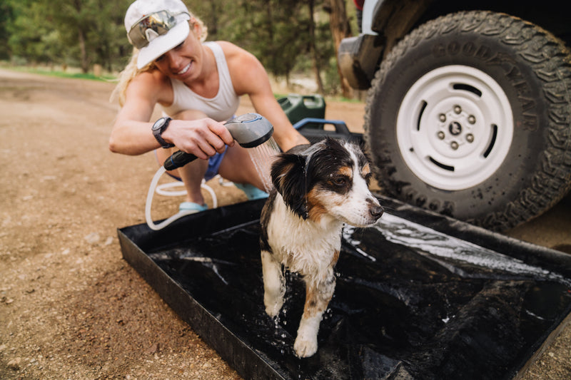 Load image into Gallery viewer, Companion NXT Aquaheat Portable Camping Lithium Gas Hot Water Shower System
