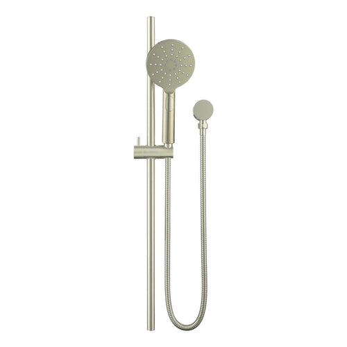 Mica Shower Round Head and Rail French Gold
